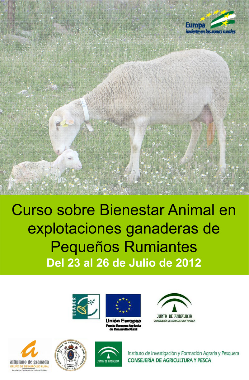 Curso sobre bienestar animal en explotaciones ganaderas de pequeños  rumiantes | Ayuntamiento de Benamaurel