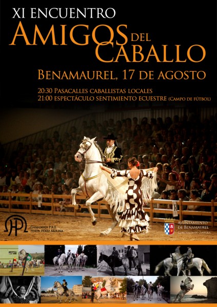 cartel-caballos-2014-opti